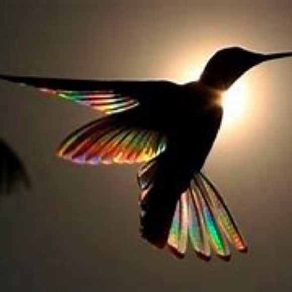 ✨🎄☃️COMMENT FULL !!•*•,Go To New Listing !!☃️🎄✨ - Picture 5 of 10